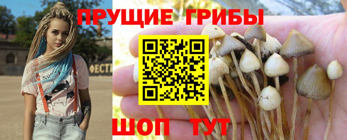 Нововоронеж  Псилоцибиновые грибы мухоморы  Вход с VPN 
